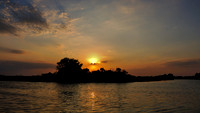 Assateague Island, MD