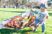 Kite Flying