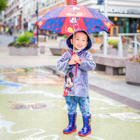 Raining Mickeys