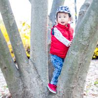 Top of Tree