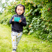 Rasberries Picking