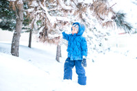 snow