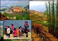 Ruộng Bậc Thang (Terraced Fields)