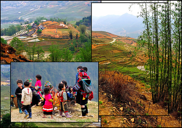 Ruộng Bậc Thang (Terraced Fields)