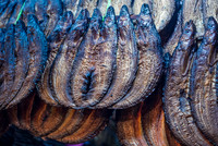Smoked Fish