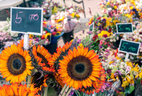 Old Town Farmers Market