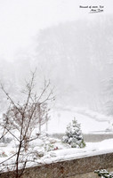 2009 Blizzard