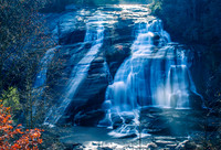Dupont State Forest