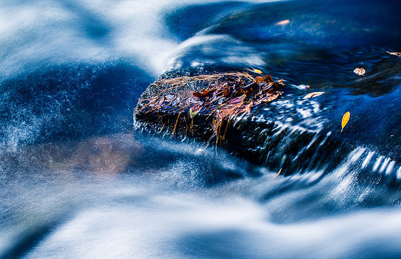 _A5A9569