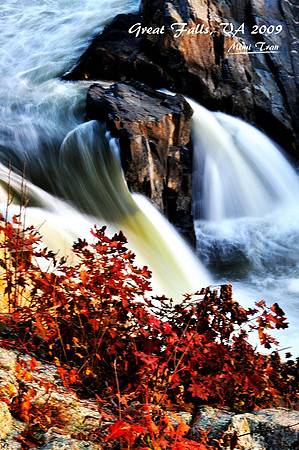 Great Falls, VA