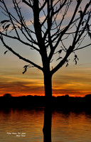 Tidal Basin, VA