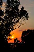 Assateague Island, MD