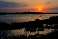 Assateague Island, MD