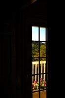 Morning Light