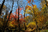 White Oak Canyon, VA